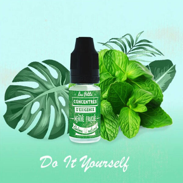 Concentré Menthe Fraiche | VDLV | 10 ml