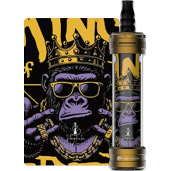 E-Chicha Portable Mini Hookah Air MTL et RDL 3 ml 1500 mAh | Fumytech – Image 7