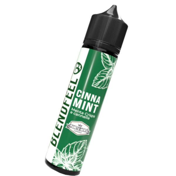 Concentré Cinna Mint Pianeta Menta Blendfeel 20+40 ml