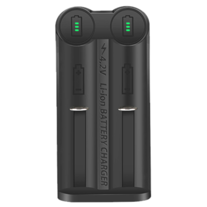 MX2 Chargeur 2 Accus MAXICELL USB-C
