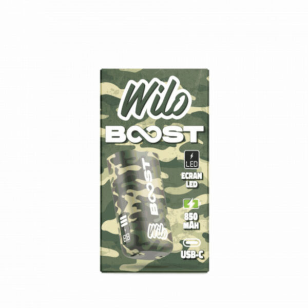 Batterie Wilo Boost Camo 850 mAh avec écran LED et USB-C