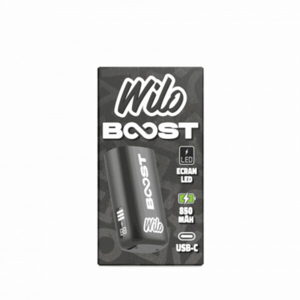Batterie Wilo Boost Noir 850 mAh avec écran LED et USB-C