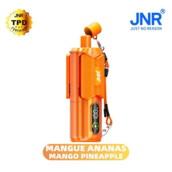 Shishasip 35K Mango Pineapple JNR