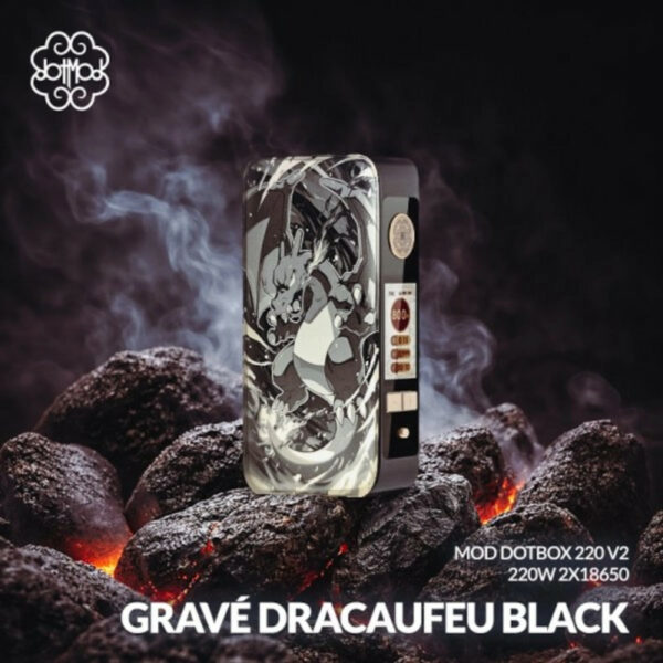 dotBox 220 V2 Dotmod Box 220W double accu
